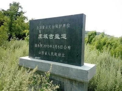 伯乐相马虞坂坡_冯建国