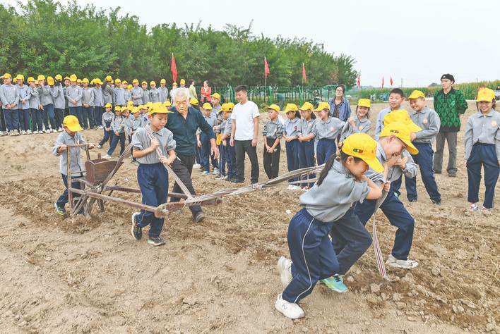 稷王小学田间体验小麦播种