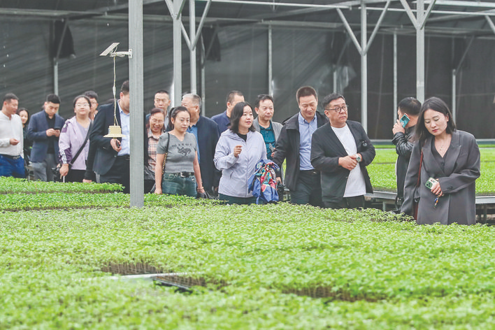 夏县优质资源推介会概述