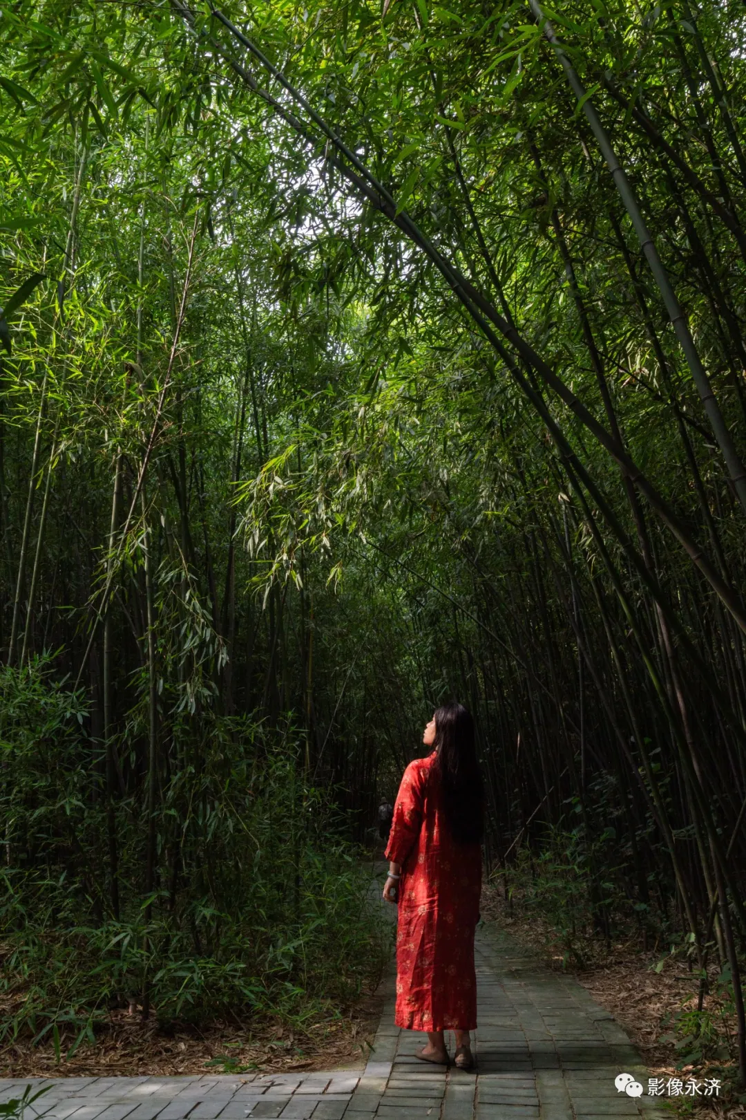 竹林幽_永济影像