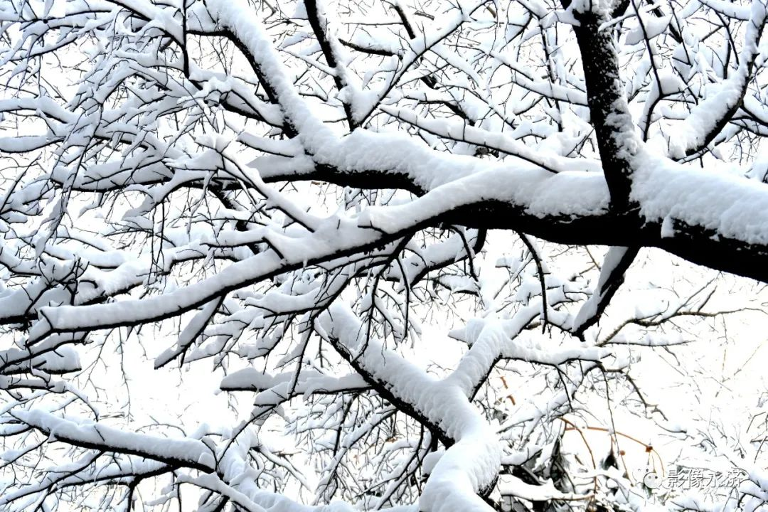 雪霁_永济影像