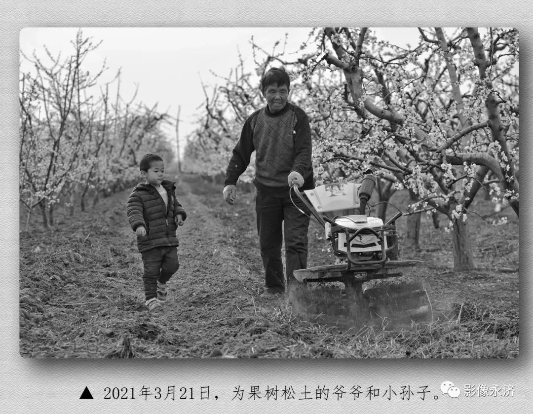 果树松土_河东影像