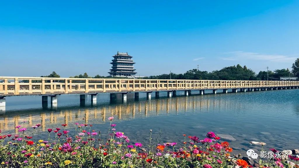 鹳雀楼—湿地花海_河东影像