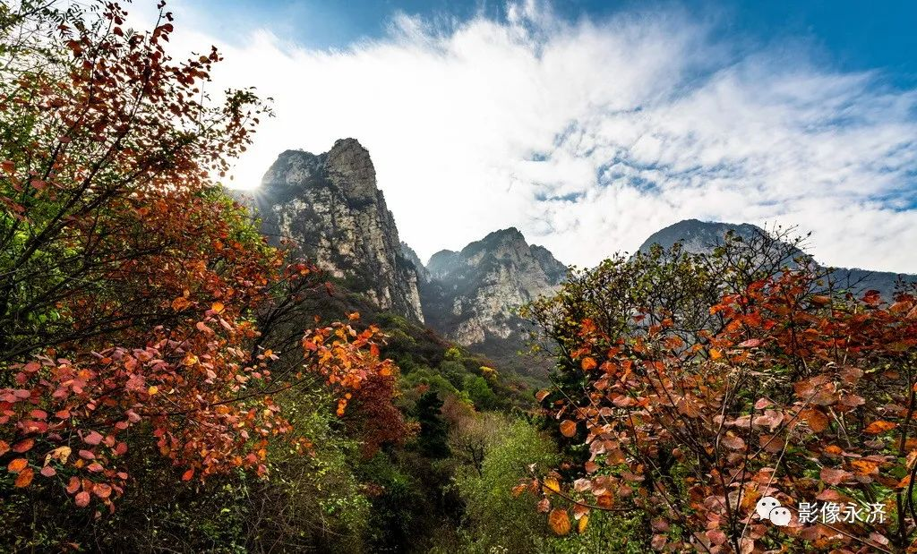 《风景这边独好 》 组图_河东影像