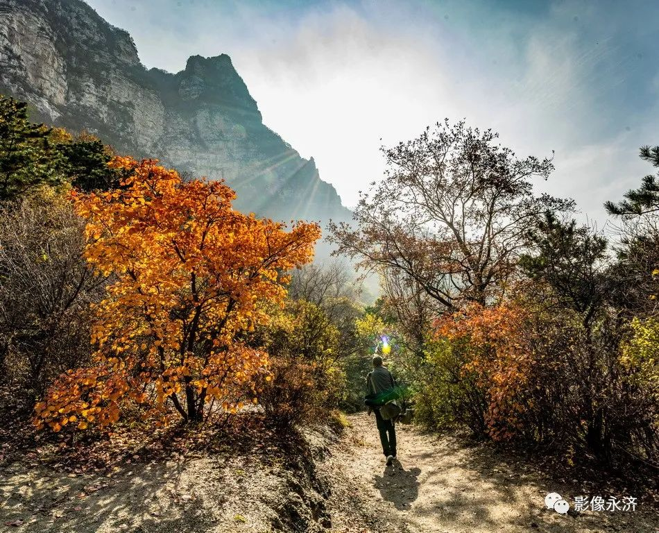 《风景这边独好 》 组图_河东影像