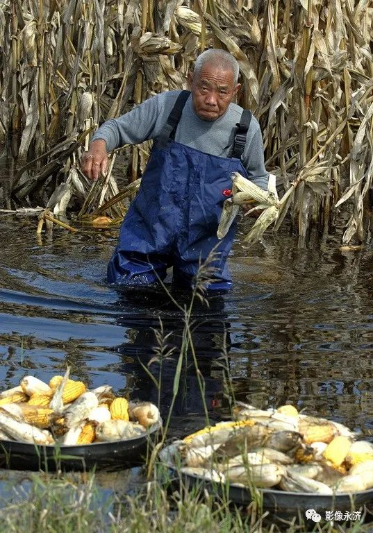 《抗水患》组图 _河东影像