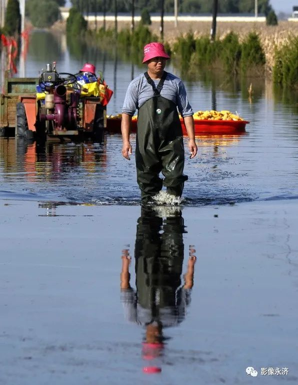 《抗水患》组图 _河东影像