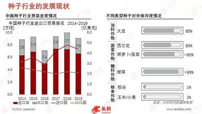 梁鸣早：从种子异化看粮食安全问题的根源