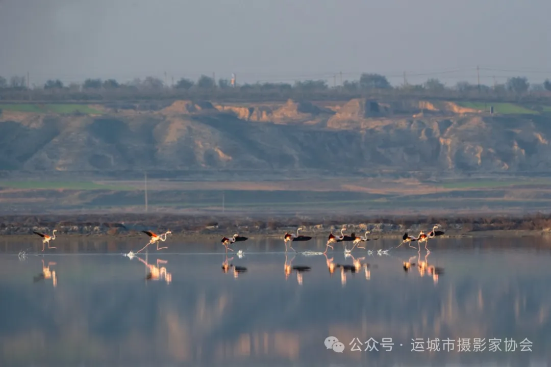 非常来客_河东影像