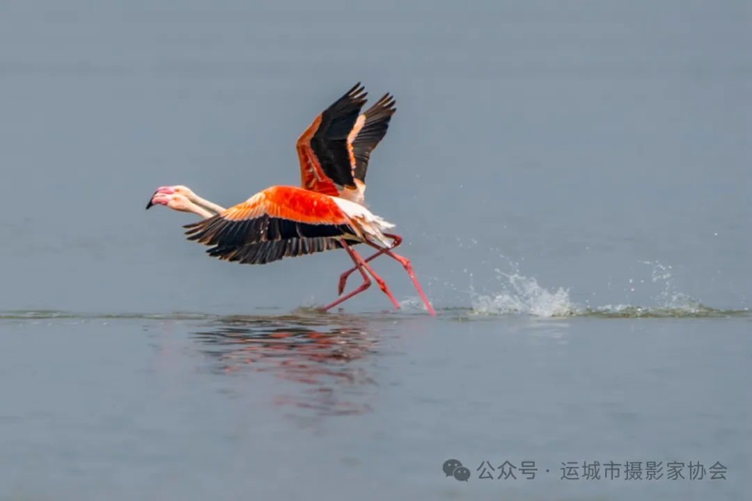 非常来客_河东影像