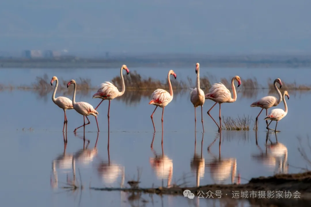 非常来客_河东影像