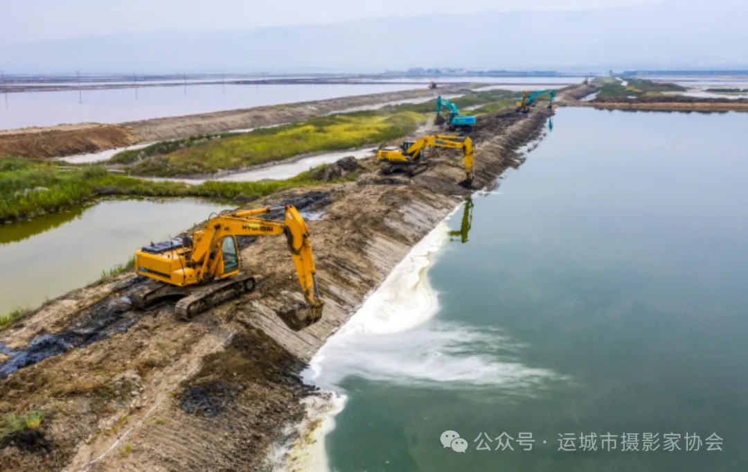 盐湖生态换新颜（组照）_河东影像