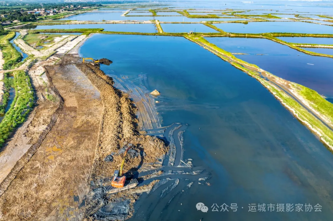 盐湖生态换新颜（组照）_河东影像