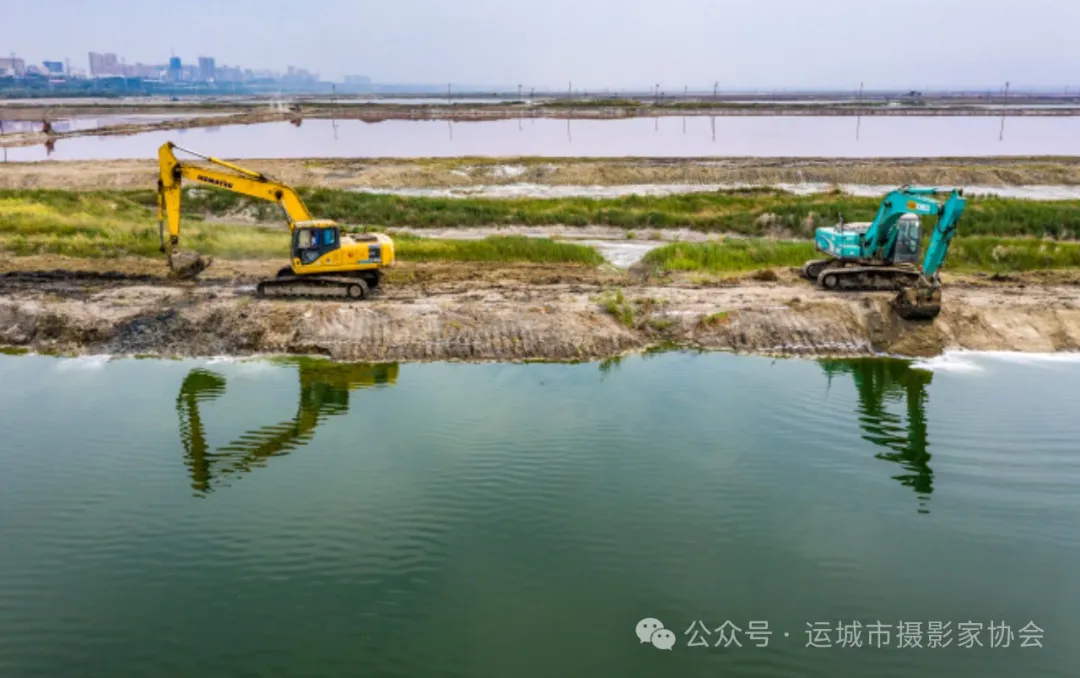 盐湖生态换新颜（组照）_河东影像