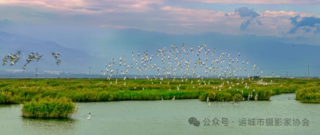 生态盐湖_河东影像