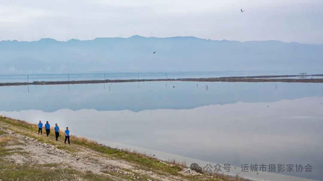 守护（组照）_河东影像