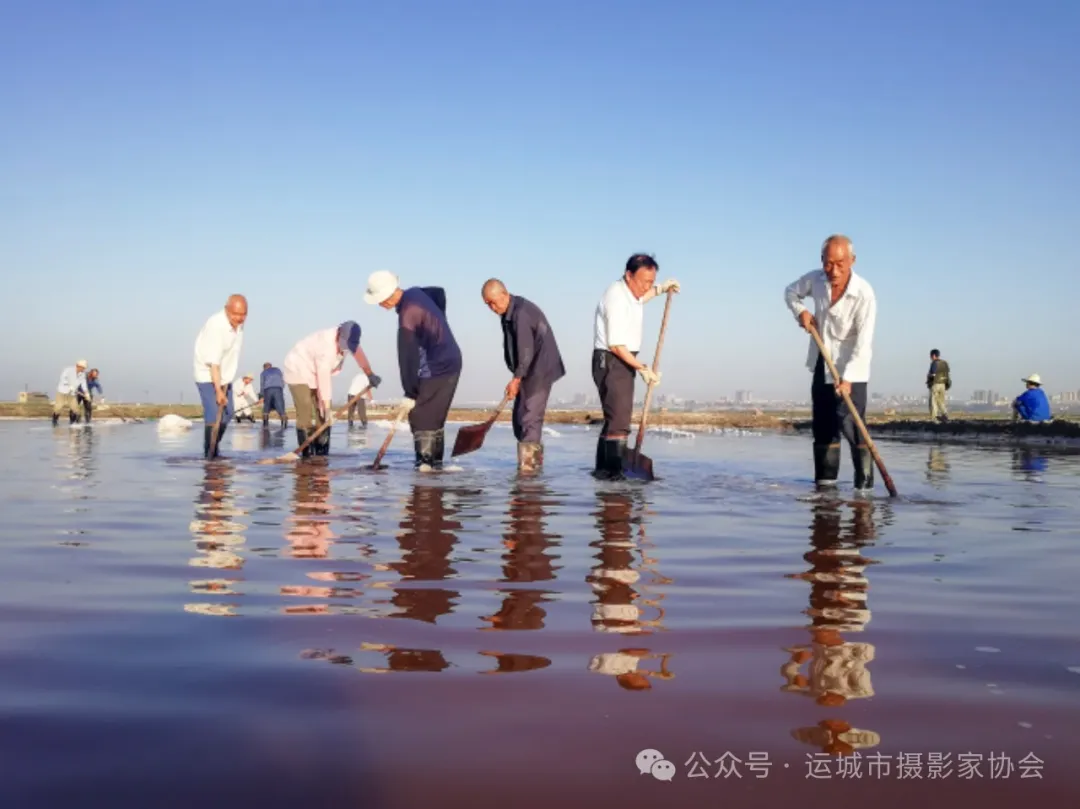 产盐（组照）_河东影像