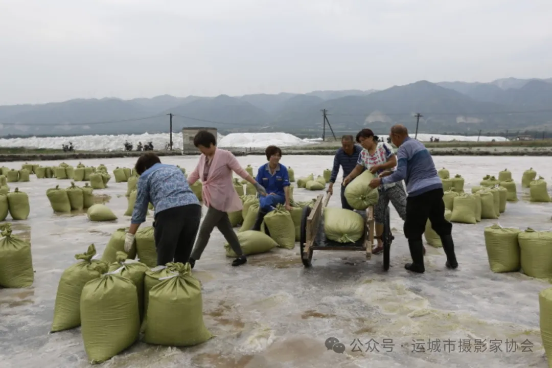 产盐（组照）_河东影像