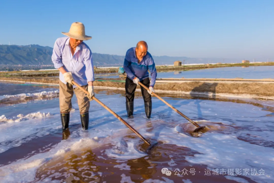 产盐（组照）_河东影像