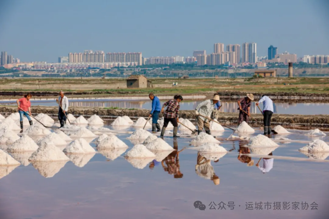 产盐（组照）_河东影像