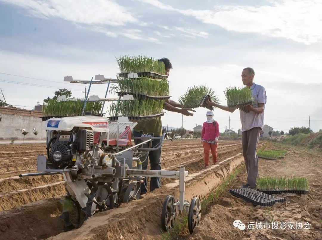 “人大”帮扶助力  机械栽葱增收_扶贫篇