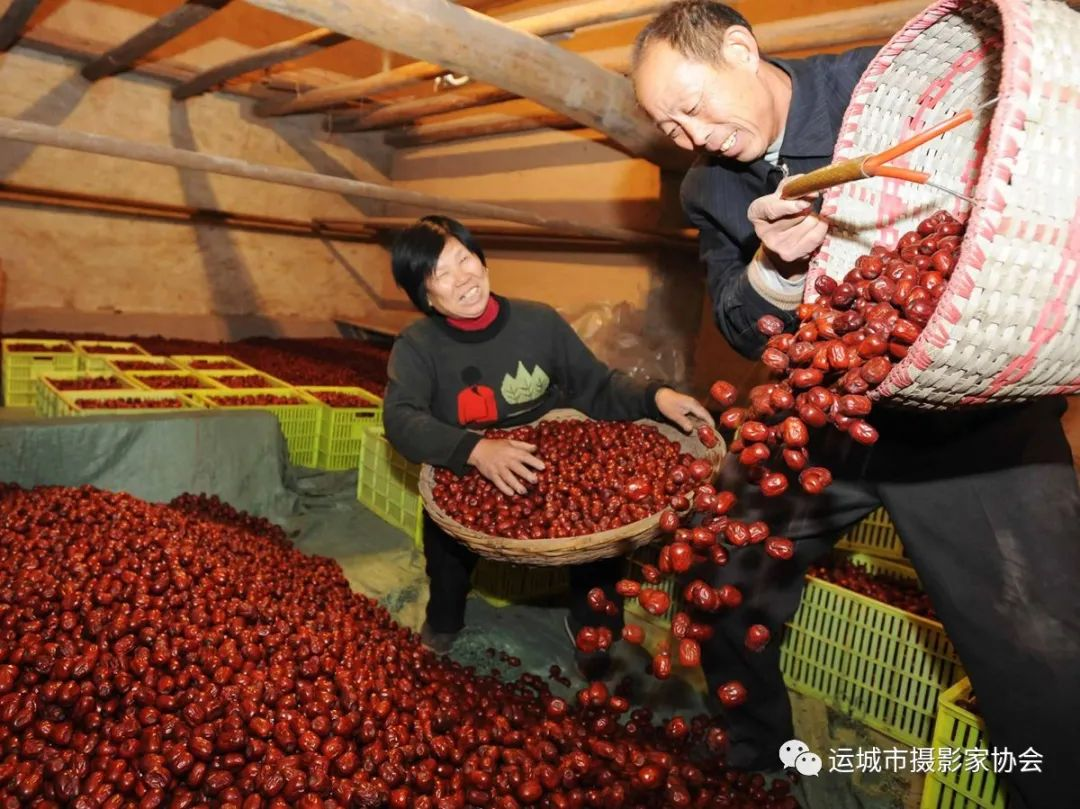 这枣还有啥说的_运城苹果