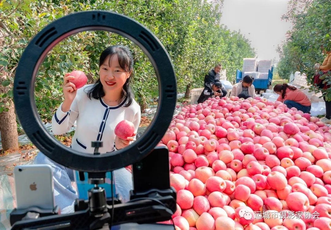 电商进果园网络销售_运城苹果