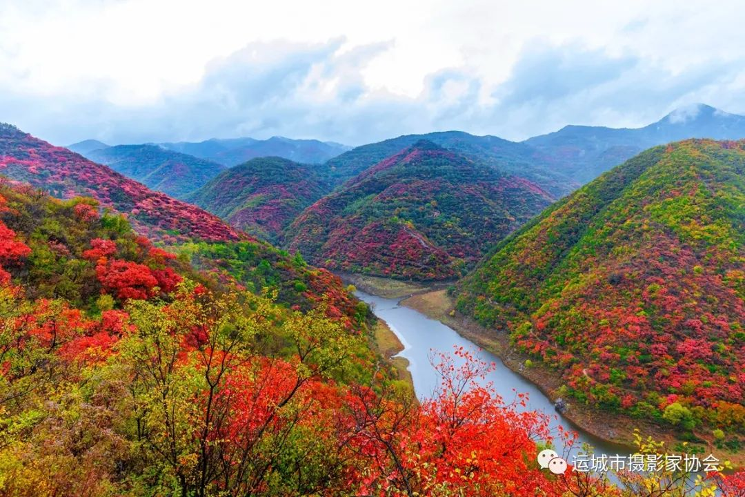 醉美红叶入画来（组照） _河东影像