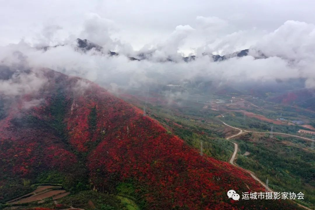 生态康养地、魅力左家湾（组照） _河东影像