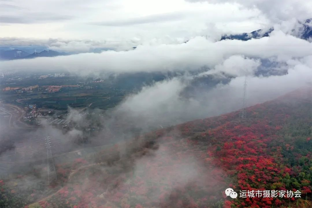 生态康养地、魅力左家湾（组照） _河东影像