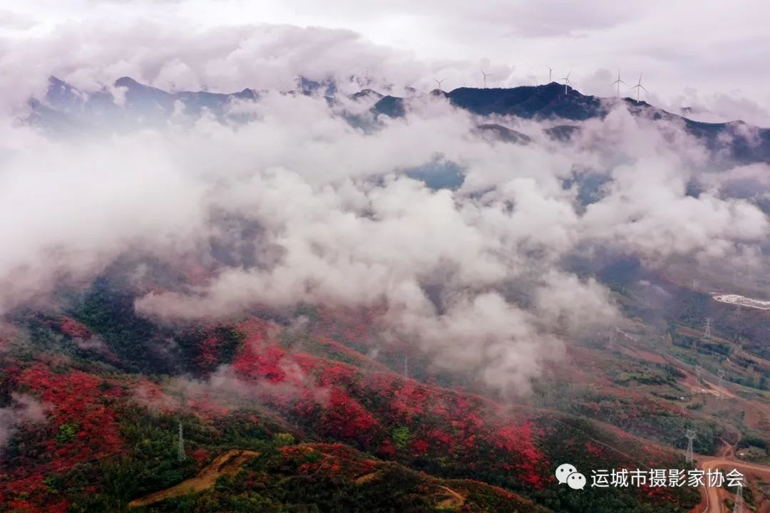 生态康养地、魅力左家湾（组照） _河东影像