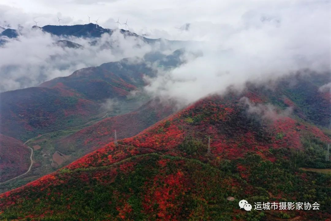 生态康养地、魅力左家湾（组照） _河东影像