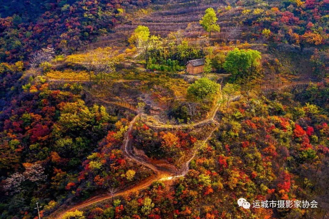 秋染河东（组照） _河东影像