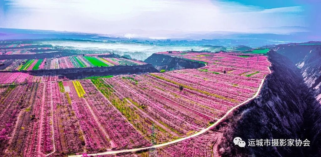 满山开遍致富花_河东影像