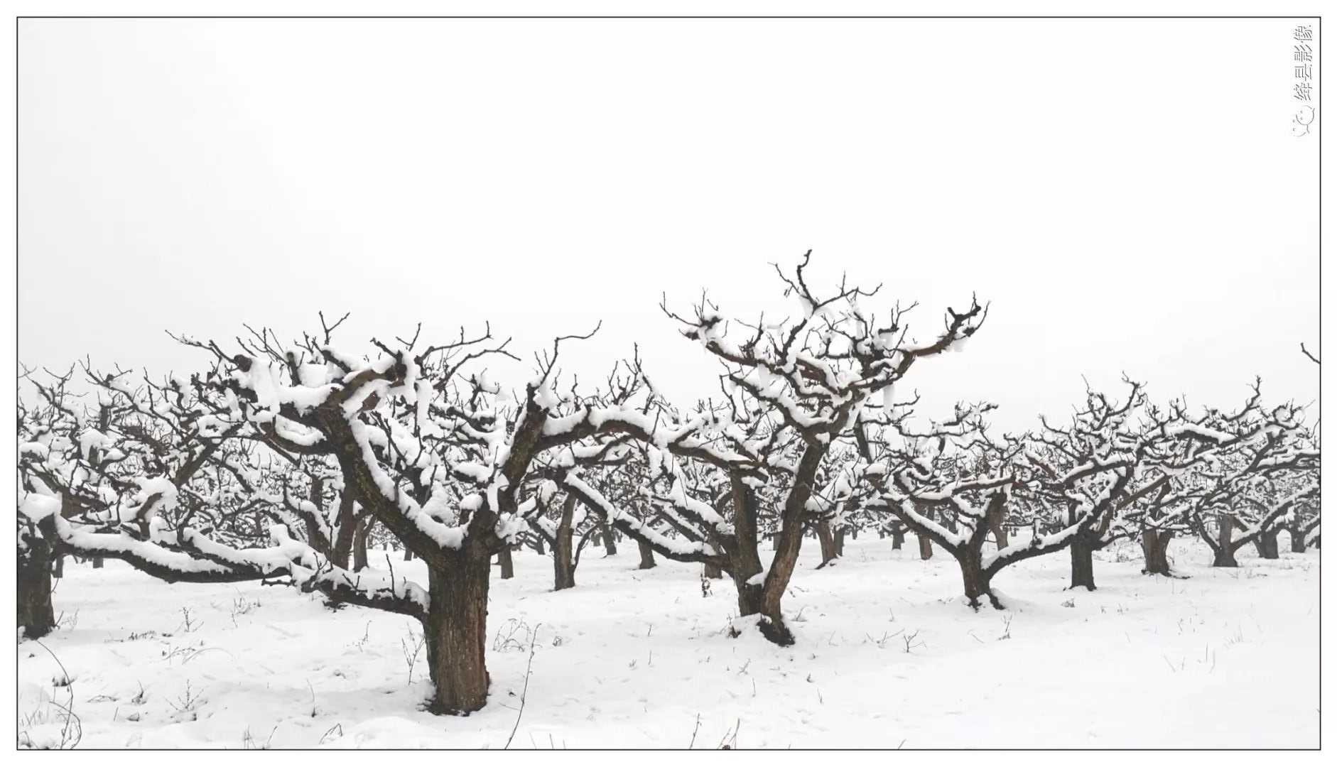 雪意_绛县影像