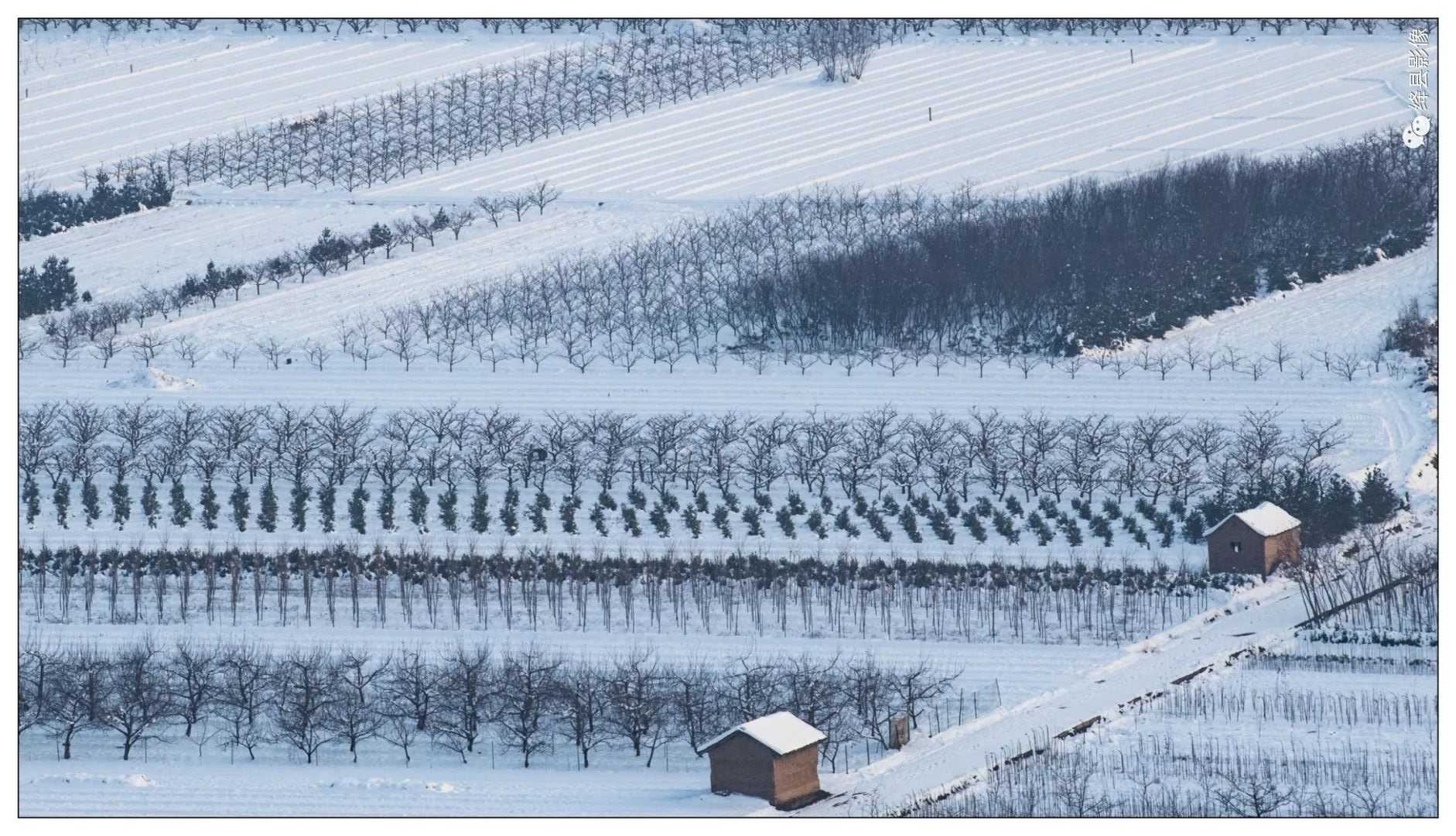 雪意_绛县影像