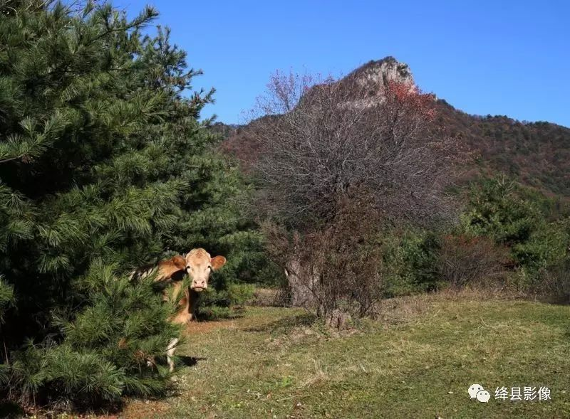 母子归途（组图）_绛县影像