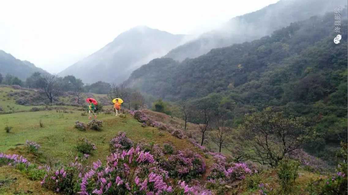 陈村峪莲花池（组图）_绛县影像