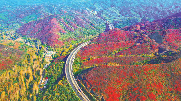 菏宝高速漫山红叶