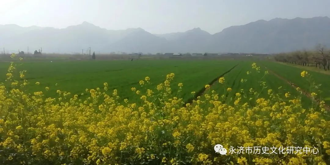 桃花洞(二首)_诗_明 宋廷佐