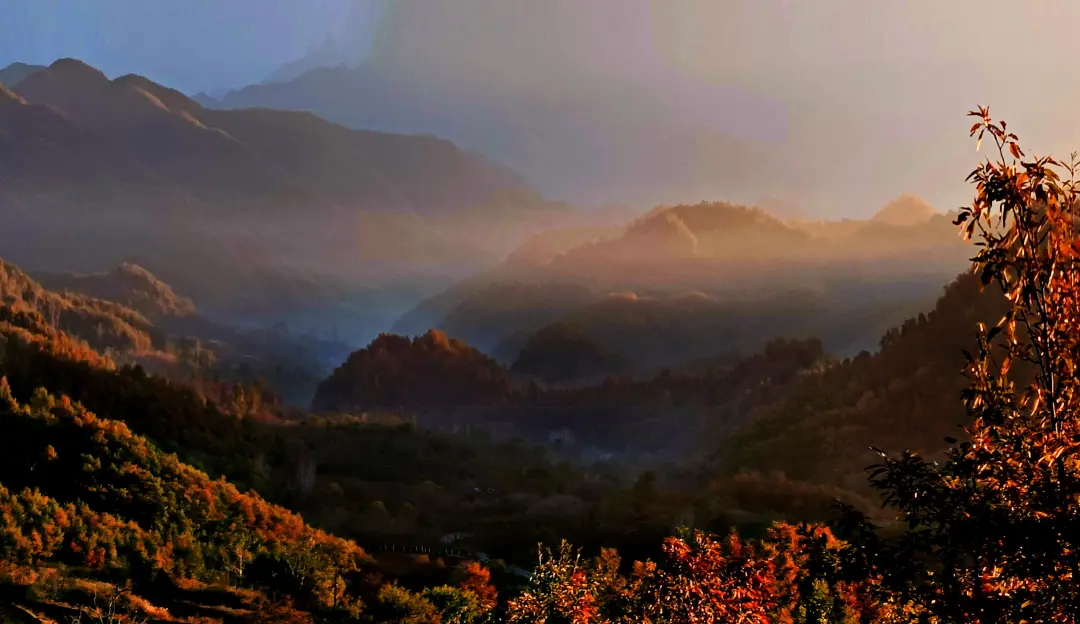 晨曦 浓彩映山红_望仙大峡谷