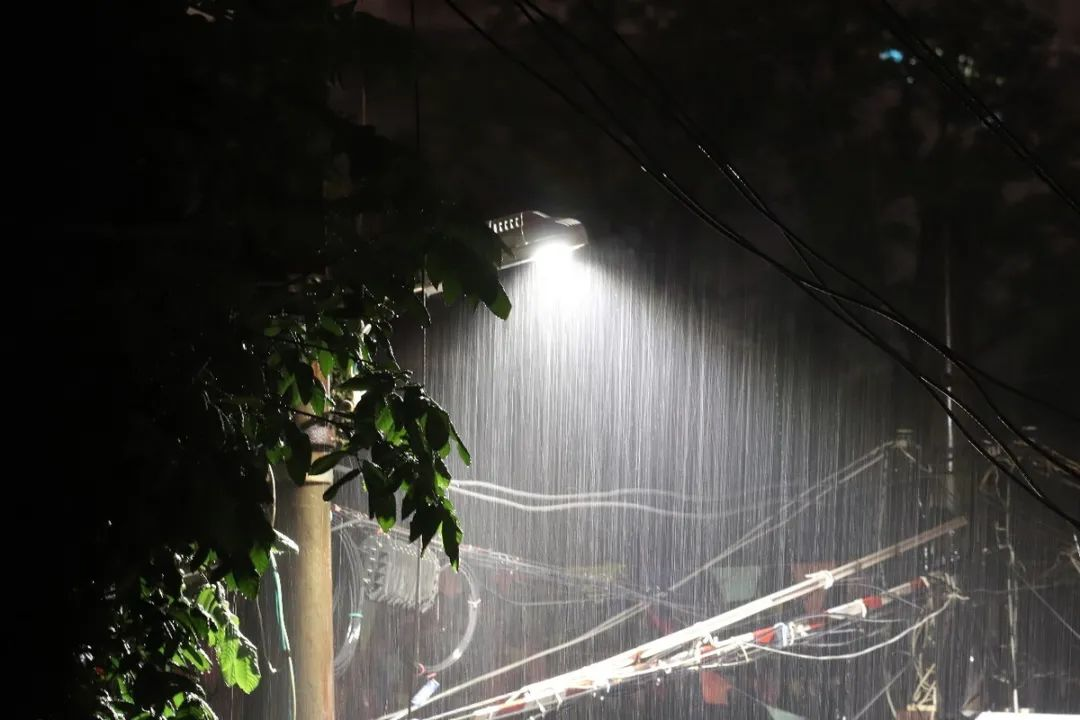 雨_诗歌_马竟译