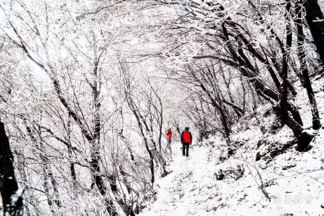 雪后的东华山