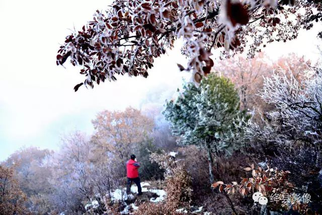 雪后的东华山