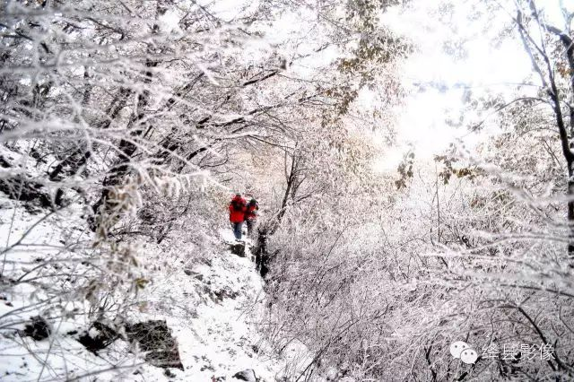 雪后的东华山