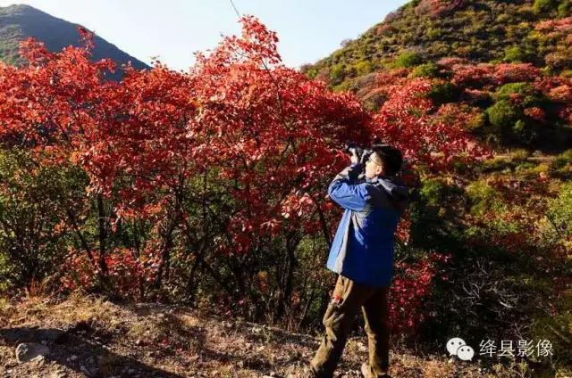 马儿崖秋色