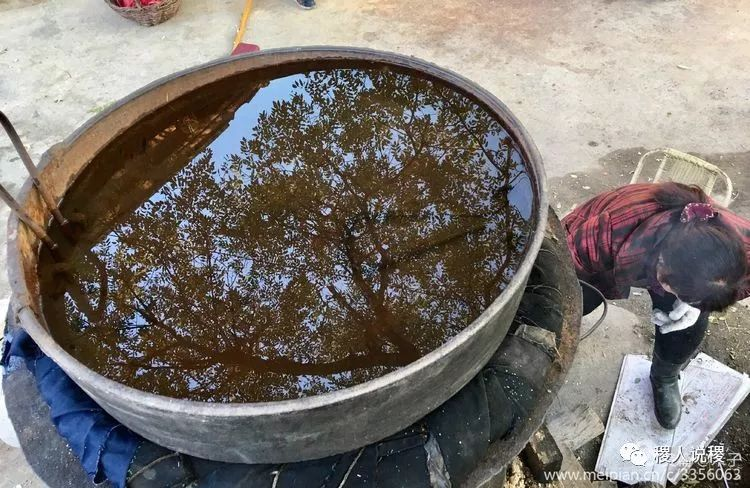 柿子酒——稷山牌“茅台”对酒当歌