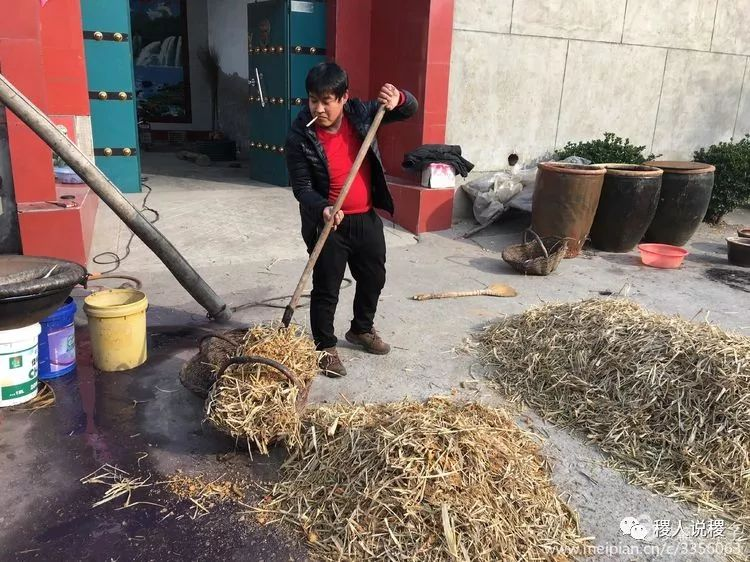 柿子酒——稷山牌“茅台”对酒当歌