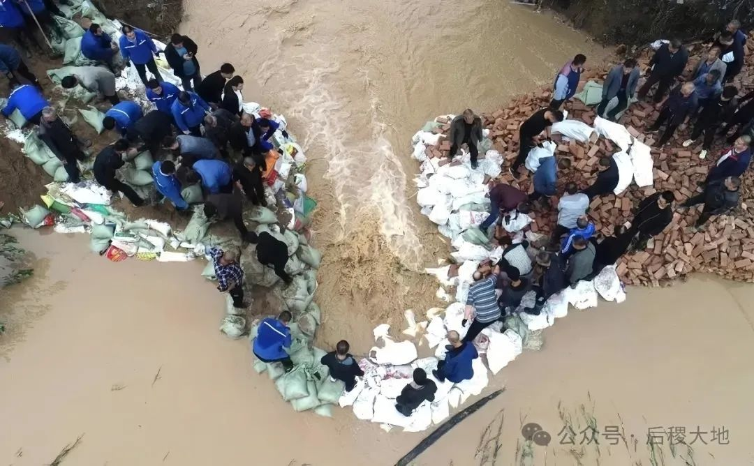 抗洪抢险_栗卢建