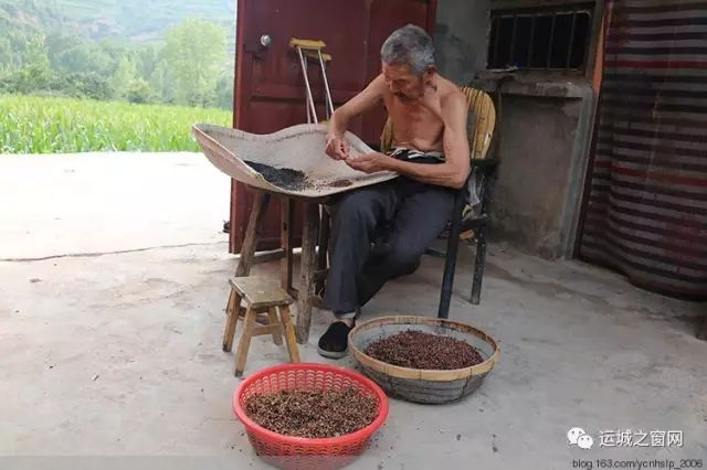 闲不住_夏县影像